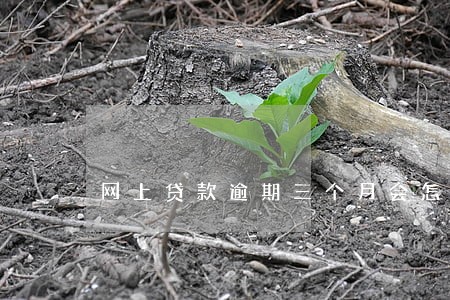 网上贷款逾期三个月会怎么样 网上贷款逾期三个月会怎么样