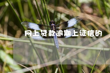 网上贷款逾期上证信的 网上贷款逾期上证信的
