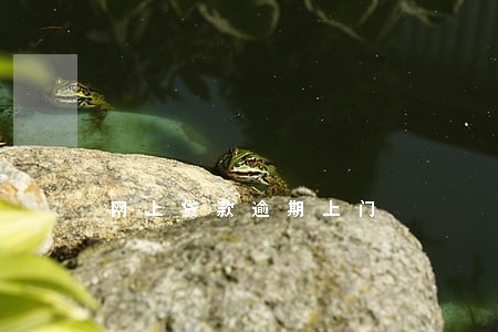 网上贷款逾期上门 网上贷款逾期上门