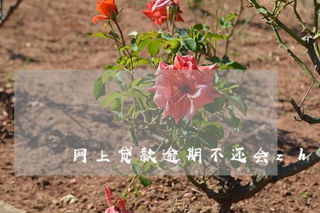 网上贷款逾期不还会zhou 网上贷款逾期不还会zhou