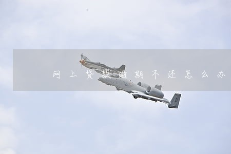 网上贷款逾期不还怎么办 网上贷款逾期不还怎么办