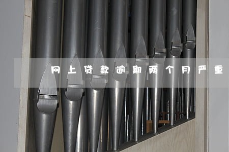 网上贷款逾期两个月严重吗 网上贷款逾期两个月严重吗