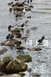 网上贷款逾期两天 网上贷款逾期两天