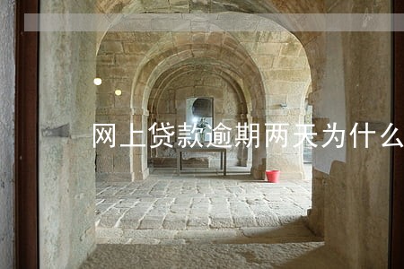 网上贷款逾期两天为什么借不了