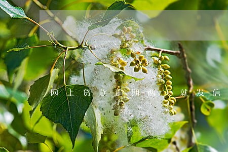 网上贷款逾期两天就发信息恐吓 网上贷款逾期两天就发信息恐吓