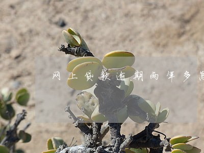 网上贷款逾期两年多怎么办 网上贷款逾期两年多怎么办