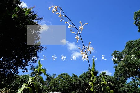 网上贷款逾期九天也上征信吗 网上贷款逾期九天也上征信吗