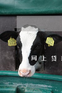 网上贷款逾期了180天 网上贷款逾期了180天