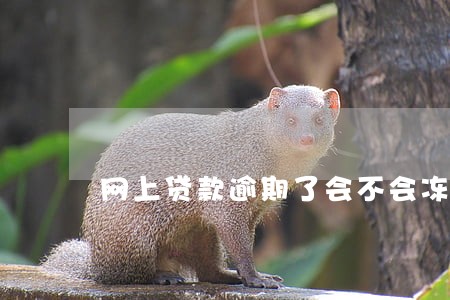 网上贷款逾期了会不会冻结账户