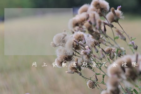 网上贷款逾期会不会被限高令 网上贷款逾期会不会被限高令