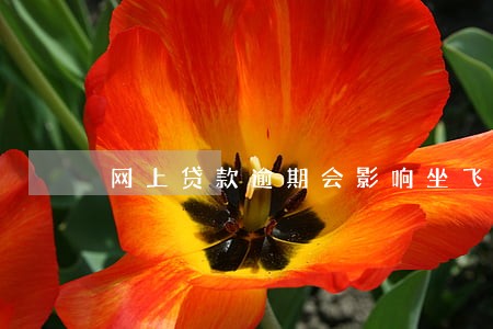 网上贷款逾期会影响坐飞机吗 网上贷款逾期会影响坐飞机吗