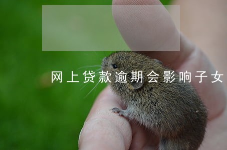 网上贷款逾期会影响子女吗