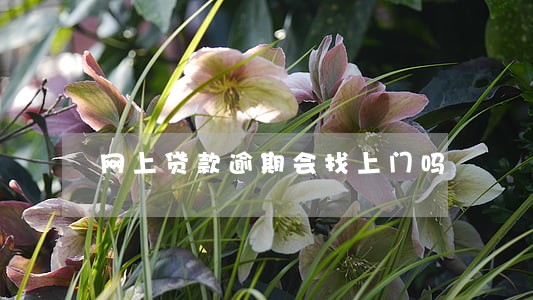 网上贷款逾期会找上门吗 网上贷款逾期会找上门吗
