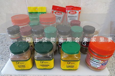 网上贷款逾期会来家里要钱吗 网上贷款逾期会来家里要钱吗