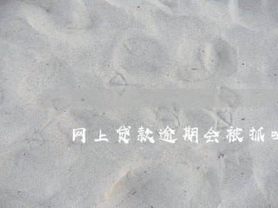 网上贷款逾期会被抓吗 网上贷款逾期会被抓吗