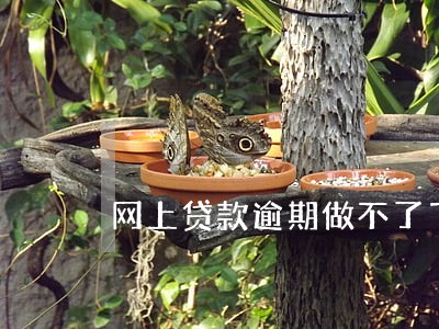 网上贷款逾期做不了飞机