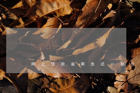 网上贷款逾期先还一部分 网上贷款逾期先还一部分