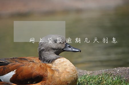 网上贷款逾期几天利息 网上贷款逾期几天利息