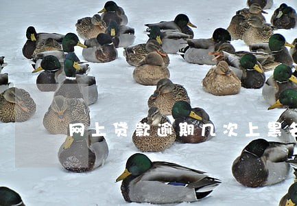 网上贷款逾期几次上黑名单