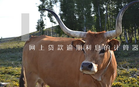 网上贷款逾期利息的计算器 网上贷款逾期利息的计算器