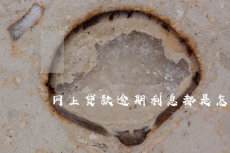 网上贷款逾期利息都是怎么算的 网上贷款逾期利息都是怎么算的