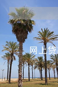 网上贷款逾期十天 网上贷款逾期十天