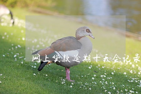 网上贷款逾期十天会记录吗 网上贷款逾期十天会记录吗