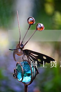 网上贷款逾期可以坐飞机吗 网上贷款逾期可以坐飞机吗