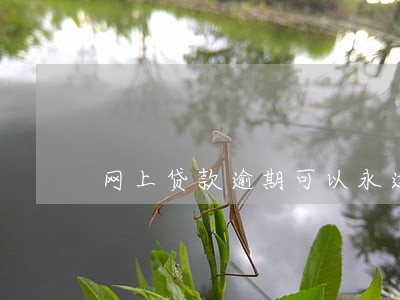 网上贷款逾期可以永远不还 网上贷款逾期可以永远不还