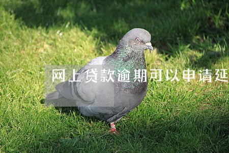 网上贷款逾期可以申请延期吗 网上贷款逾期可以申请延期吗