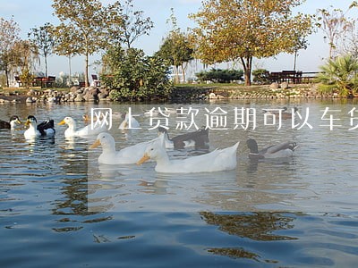 网上贷款逾期可以车贷款吗 网上贷款逾期可以车贷款吗