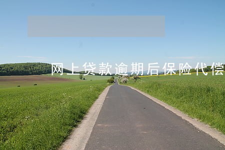 网上贷款逾期后保险代偿 网上贷款逾期后保险代偿