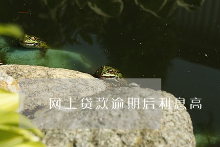 网上贷款逾期后利息高 网上贷款逾期后利息高