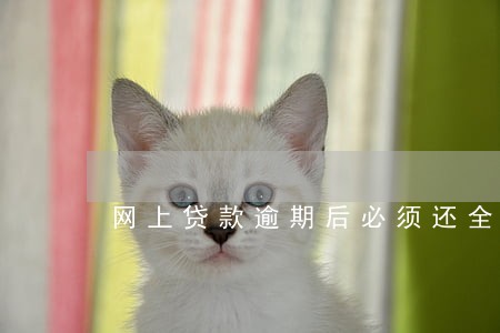 网上贷款逾期后必须还全款么