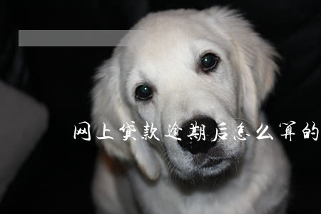 网上贷款逾期后怎么算的 网上贷款逾期后怎么算的