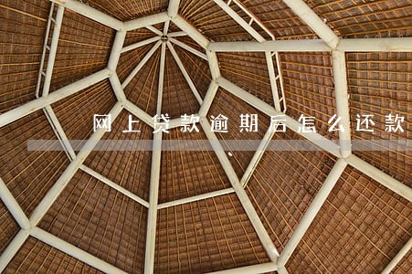 网上贷款逾期后怎么还款 网上贷款逾期后怎么还款