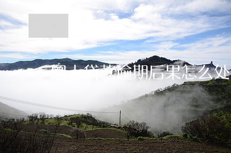 网上贷款逾期后果怎么处理 网上贷款逾期后果怎么处理