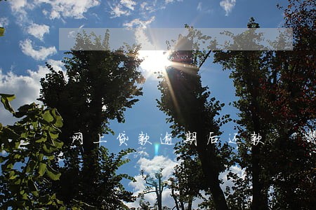 网上贷款逾期后还款 网上贷款逾期后还款