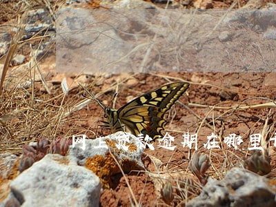 网上贷款逾期在哪里开庭