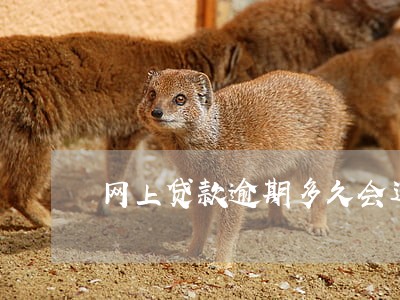 网上贷款逾期多久会进黑名单 网上贷款逾期多久会进黑名单