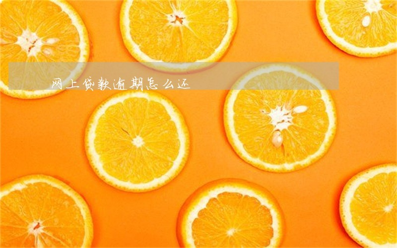 网上贷款逾期怎么还 网上贷款逾期怎么还