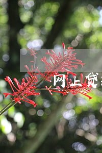 网上贷款逾期打 网上贷款逾期打