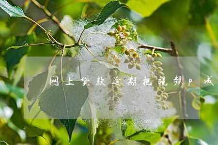 网上贷款逾期把视频p成我 网上贷款逾期把视频p成我