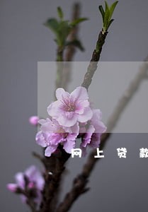 网上贷款逾期未还影响入党吗 网上贷款逾期未还影响入党吗