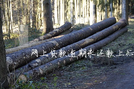 网上贷款逾期未还款上征信 网上贷款逾期未还款上征信