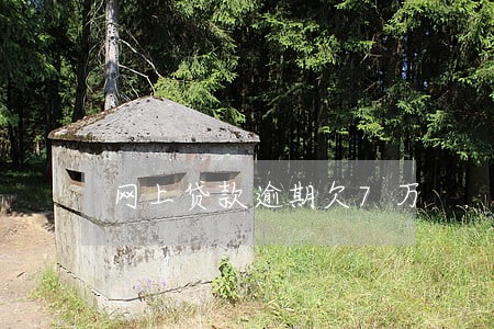 网上贷款逾期欠7万 网上贷款逾期欠7万