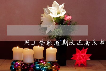 网上贷款逾期没还会怎样 网上贷款逾期没还会怎样