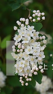 网上贷款逾期没还可以起诉吗 网上贷款逾期没还可以起诉吗