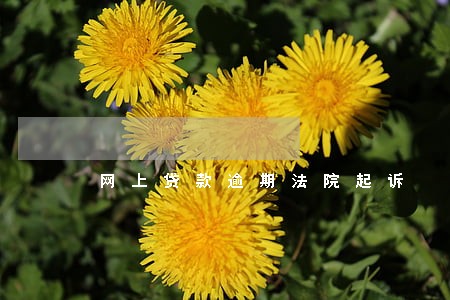 网上贷款逾期法院起诉 网上贷款逾期法院起诉