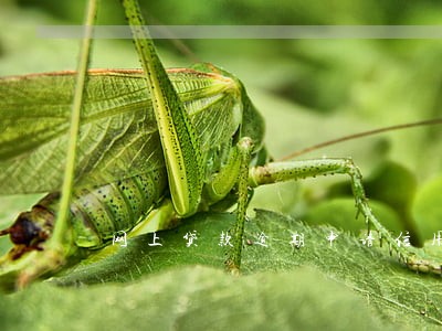 网上贷款逾期申请信用卡 网上贷款逾期申请信用卡